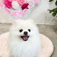 画像1014