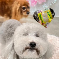 画像1021