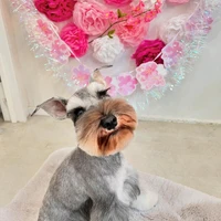 画像1029