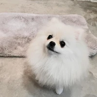 画像1032