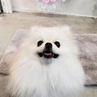 画像1040