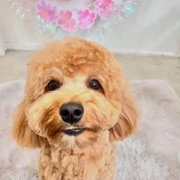画像1043