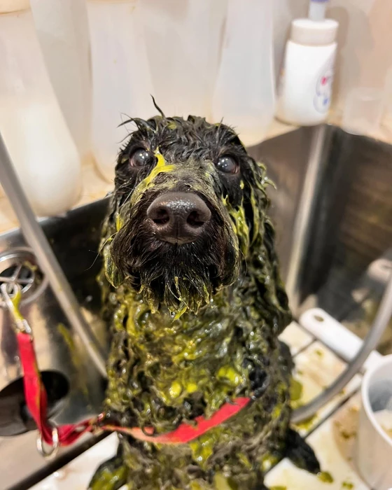 画像1053