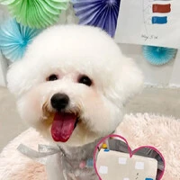 画像1173
