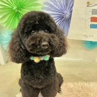 画像1218