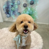 画像1230