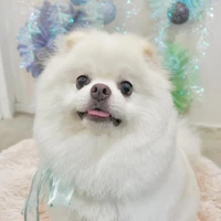 画像1274
