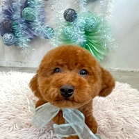 画像1304