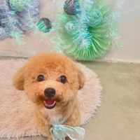 画像1310