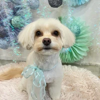 画像1342