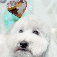 画像1345