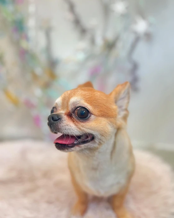 画像1398