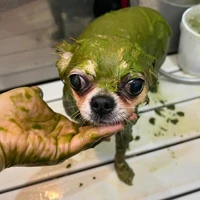 画像1399