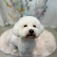 画像1427