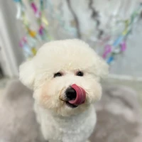 画像1520