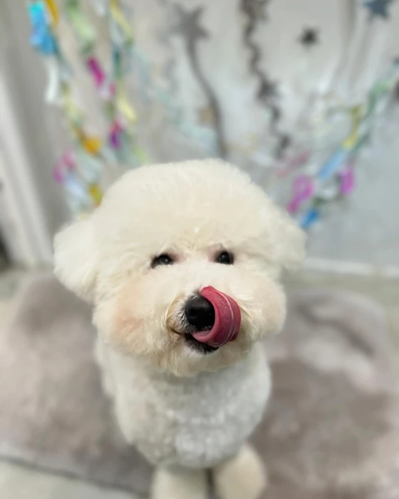 画像1520