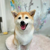 画像1536