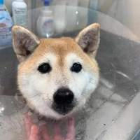 画像1538