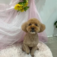 画像1728