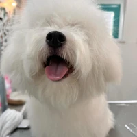 画像585