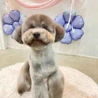画像695