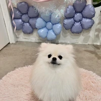 画像769