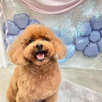 画像793
