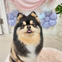 画像811